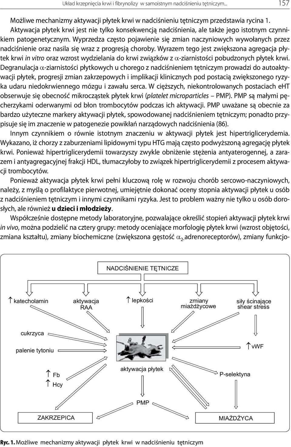 Wyprzedza często pojawienie się zmian naczyniowych wywołanych przez nadciśnienie oraz nasila się wraz z progresją choroby.