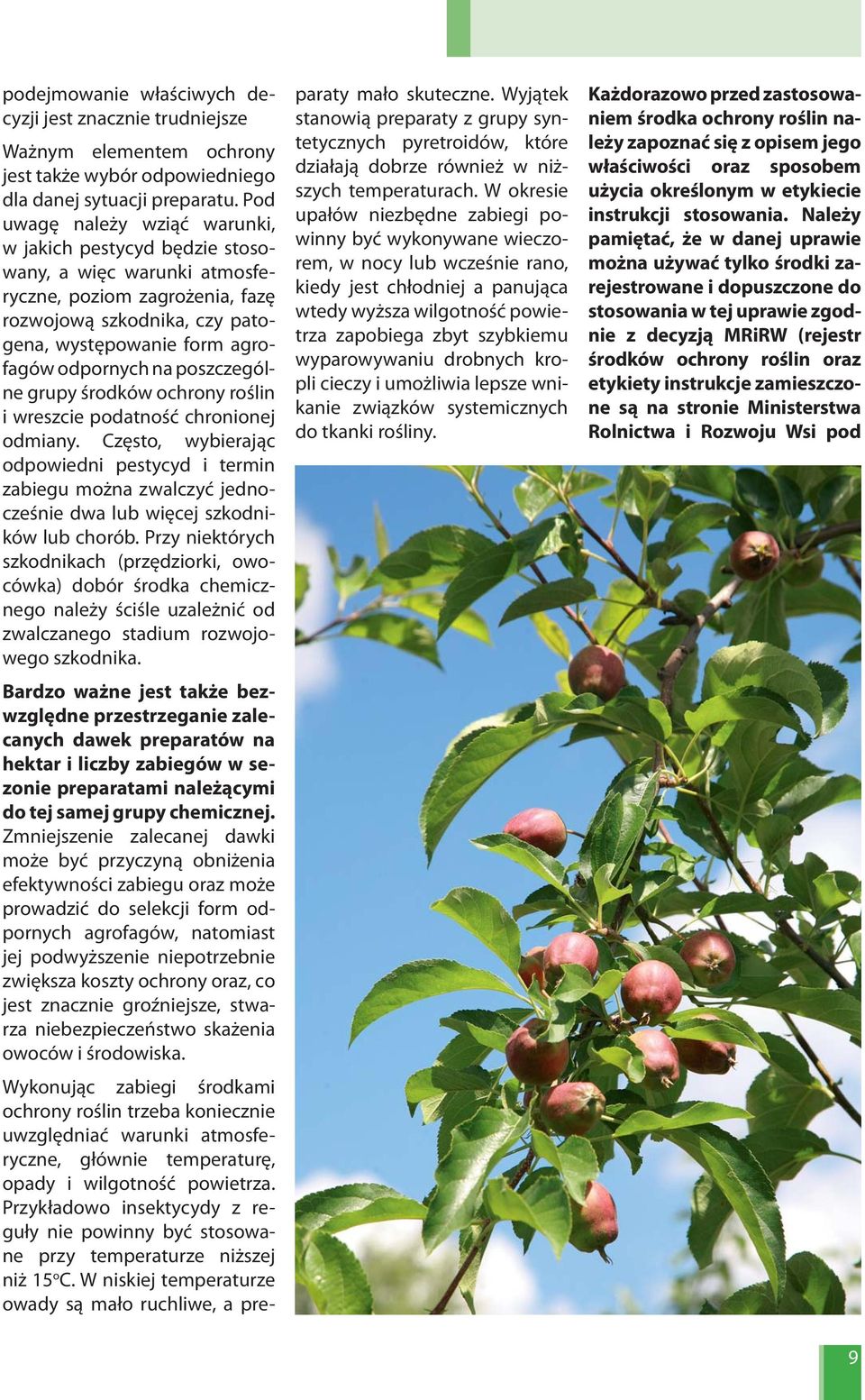 poszczególne grupy środków ochrony roślin i wreszcie podatność chronionej odmiany.