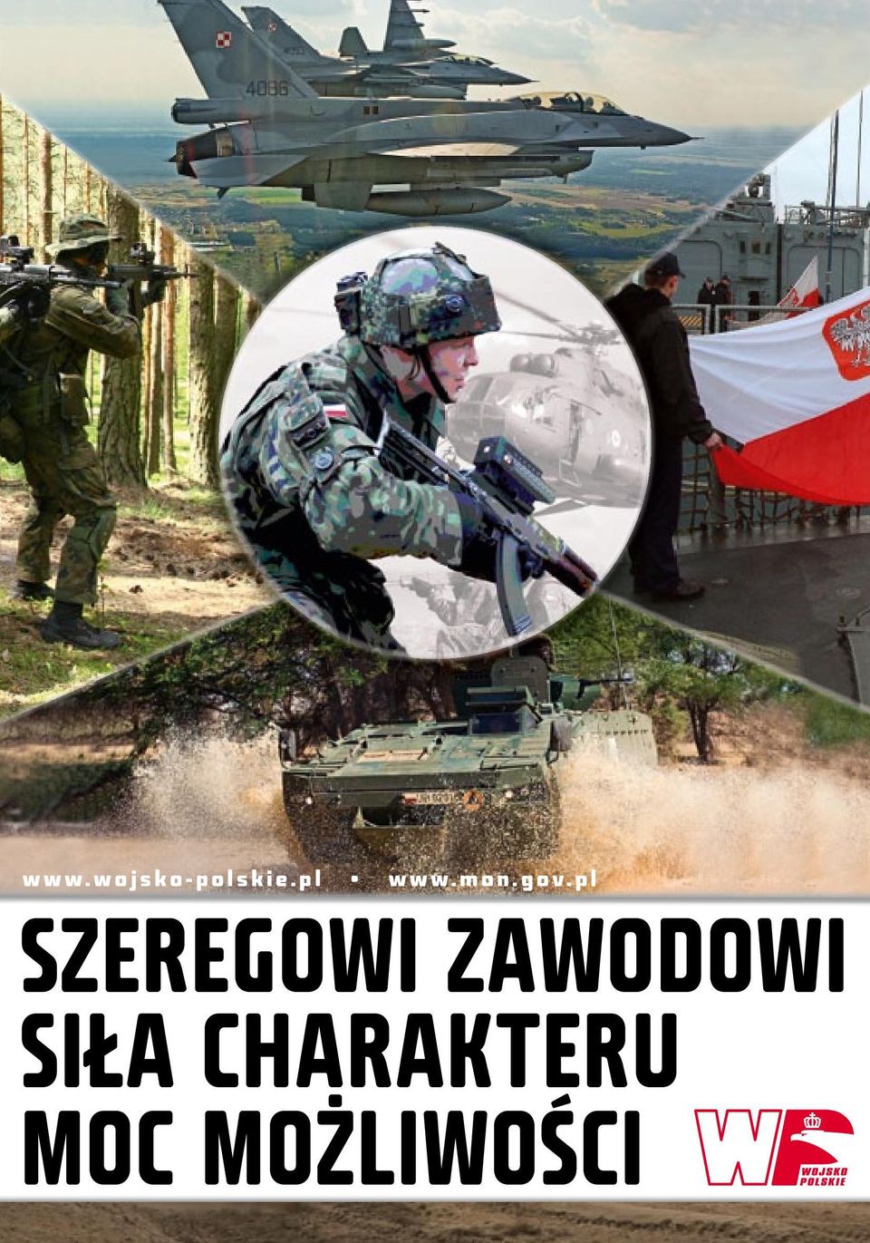 pl SZEREGOWI ZAWODOWI