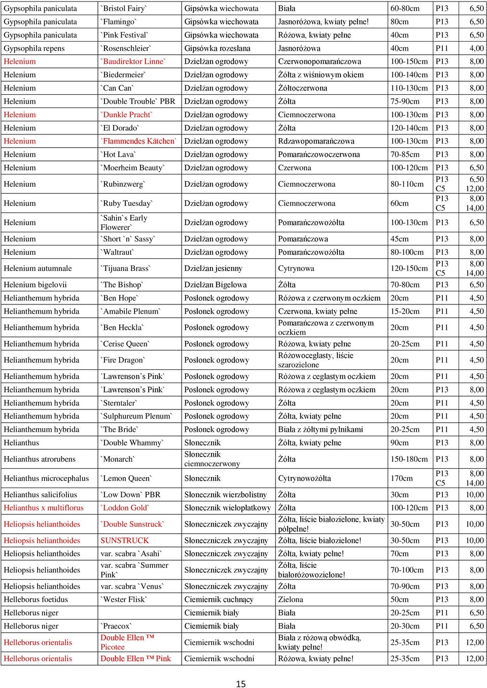 Dzielżan ogrodowy Czerwonopomarańczowa 100-150cm Helenium `Biedermeier` Dzielżan ogrodowy Żółta z wiśniowym okiem 100-140cm Helenium `Can Can` Dzielżan ogrodowy Żółtoczerwona 110-130cm Helenium