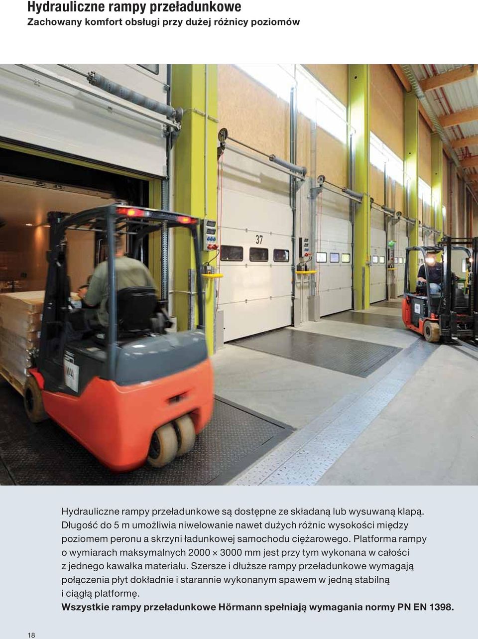 Platforma rampy o wymiarach maksymalnych 2000 3000 mm jest przy tym wykonana w całości z jednego kawałka materiału.