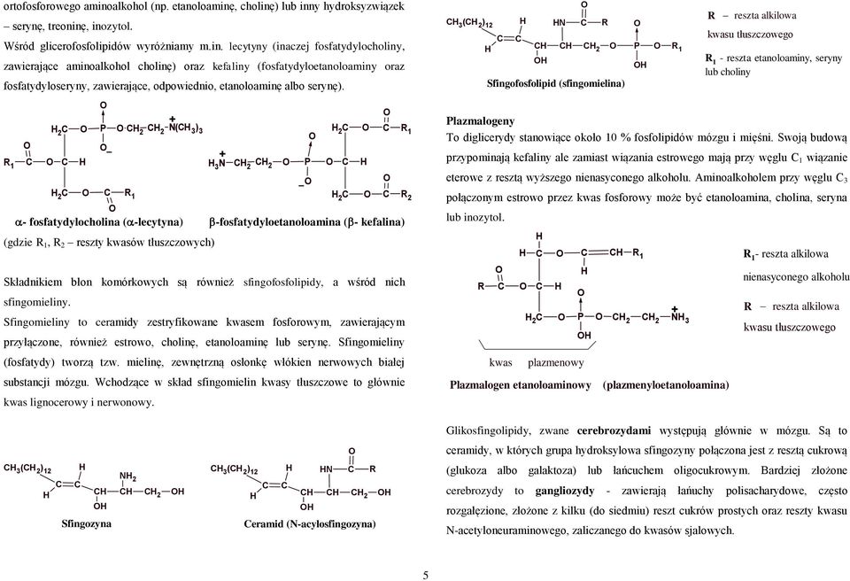 , cholinę) lub inny hydroksyzwiązek serynę, treoninę, inozytol. Wśród glicerofosfolipidów wyróżniamy m.in. lecytyny (inaczej fosfatydylocholiny, zawierające aminoalkohol cholinę) oraz kefaliny (fosfatydyloetanoloaminy oraz fosfatydyloseryny, zawierające, odpowiednio, etanoloaminę albo serynę).