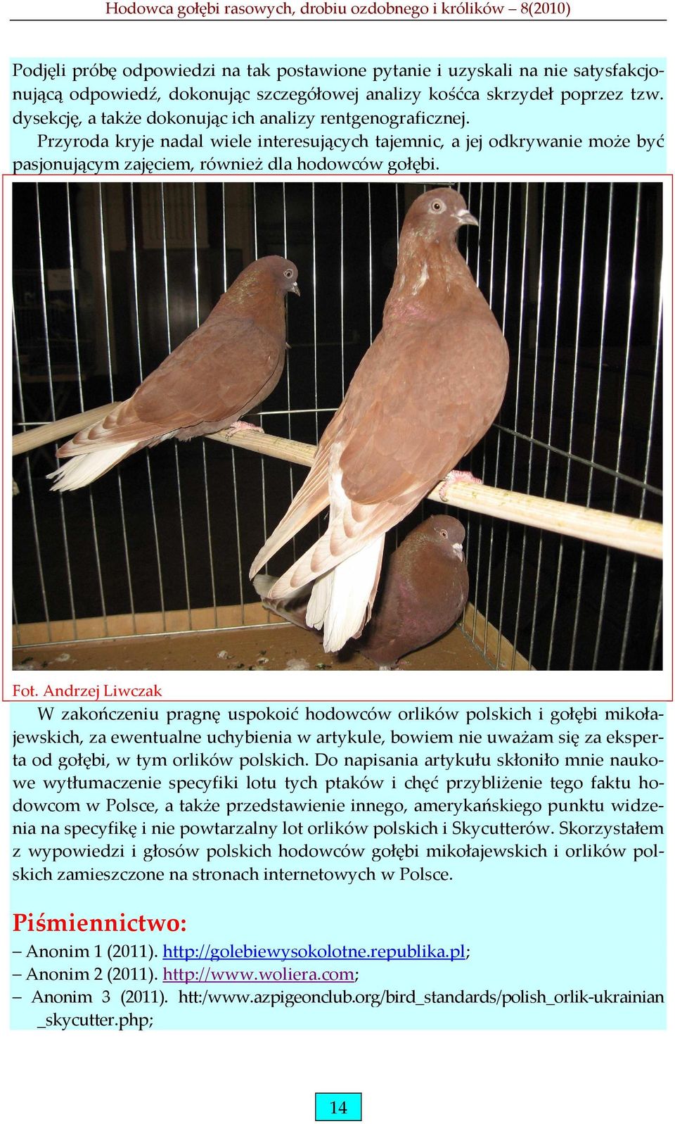 Andrzej Liwczak W zakończeniu pragnę uspokoić hodowców orlików polskich i gołębi mikołajewskich, za ewentualne uchybienia w artykule, bowiem nie uważam się za eksperta od gołębi, w tym orlików