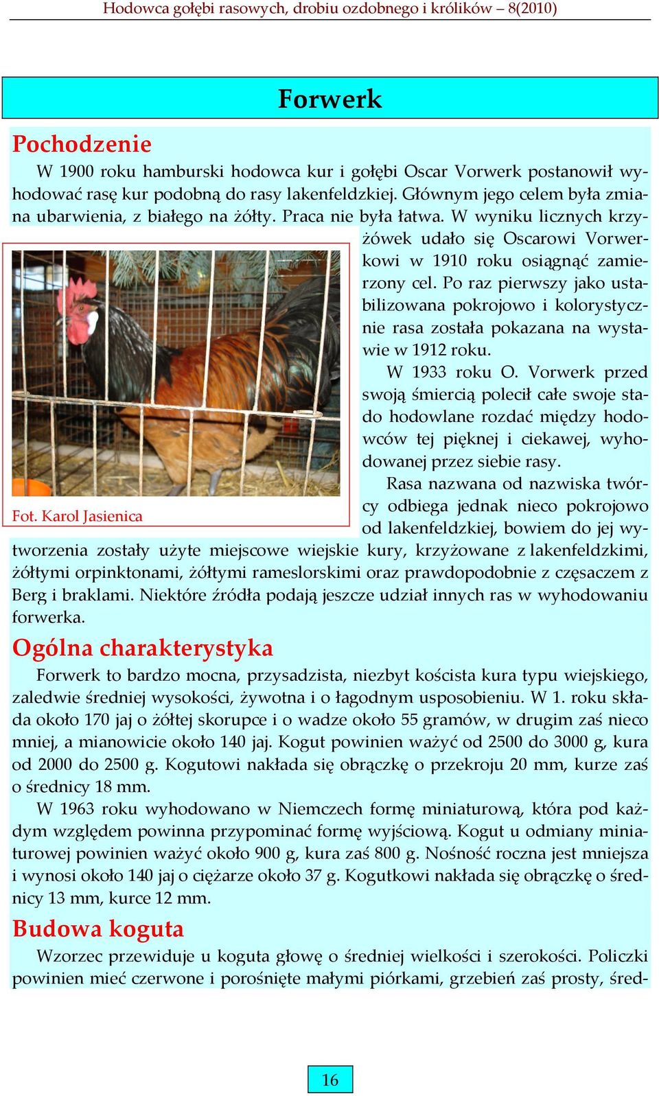 Po raz pierwszy jako ustabilizowana pokrojowo i kolorystycznie rasa została pokazana na wystawie w 1912 roku. W 1933 roku O.