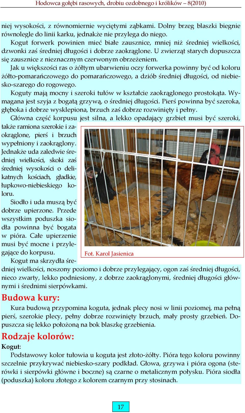 U zwierząt starych dopuszcza się zausznice z nieznacznym czerwonym obrzeżeniem.