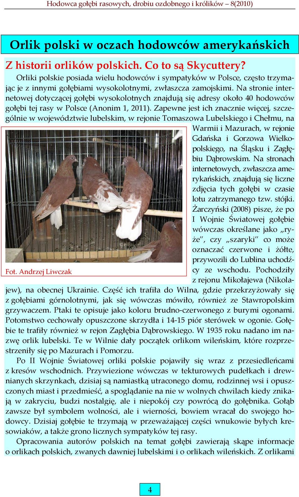Na stronie internetowej dotyczącej gołębi wysokolotnych znajdują się adresy około 40 hodowców gołębi tej rasy w Polsce (Anonim 1, 2011).