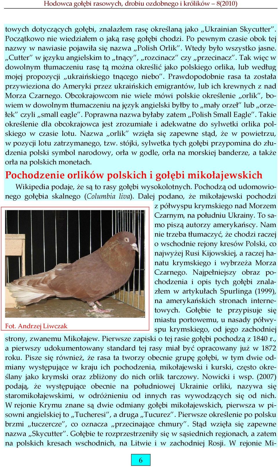 Tak więc w dowolnym tłumaczeniu rasę tą można określić jako polskiego orlika, lub według mojej propozycji ukraińskiego tnącego niebo.