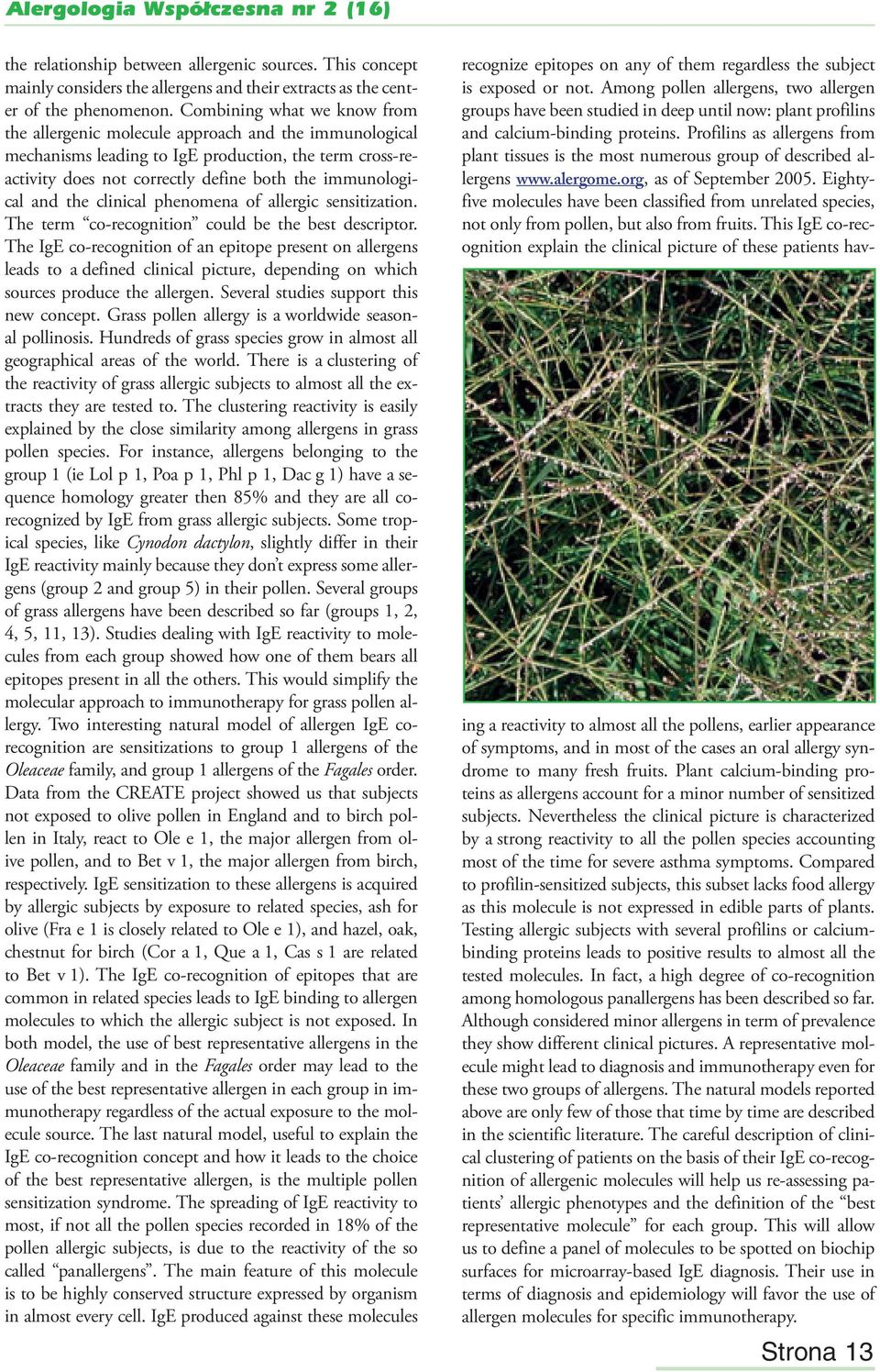 the clinical phenomena of allergic sensitization. The term co-recognition could be the best descriptor.
