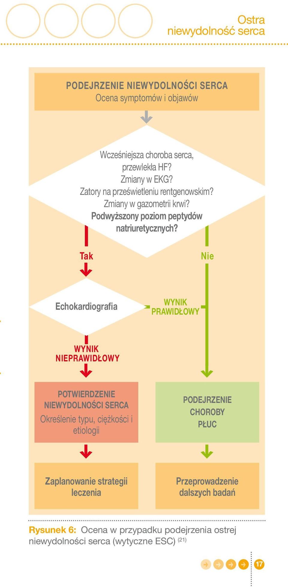 Tak V Nie Echokardiografia WYNIK PRAWIDŁOWY WYNIK NIEPRAWIDŁOWY V POTWIERDZENIE NIEWYDOLNOŚCI SERCA Określenie typu, ciężkości i etiologii V