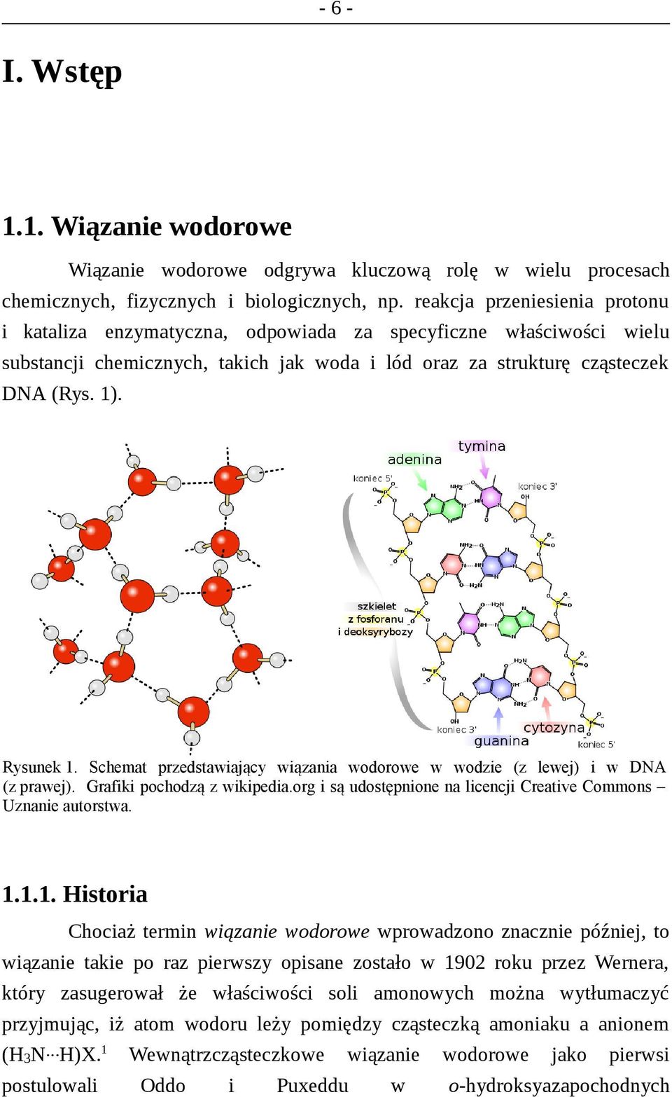 Schemat przedstawiający wiązania wodorowe w wodzie (z lewej) i w DNA (z prawej). Grafiki pochodzą z wikipedia.org i są udostępnione na licencji Creative Commons Uznanie autorstwa. 1.