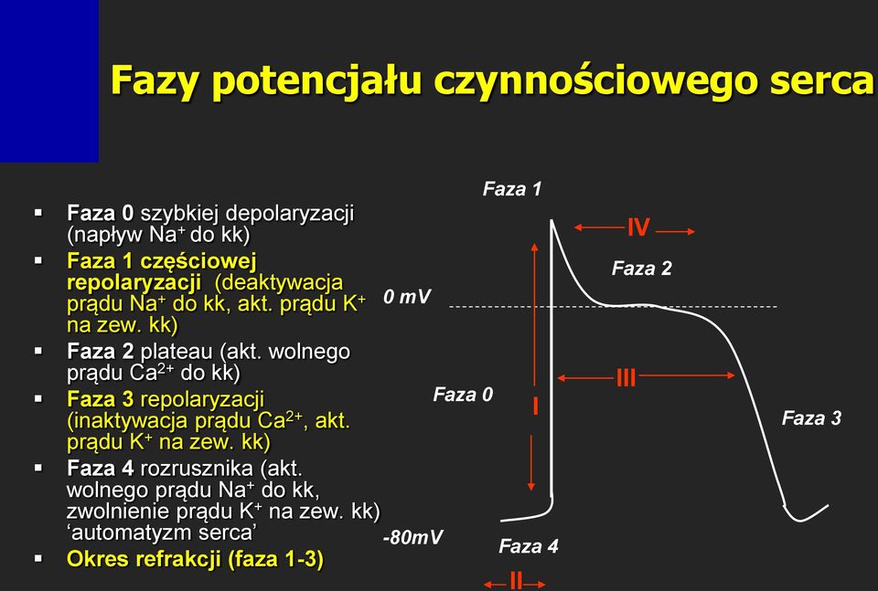 wolnego prądu Ca 2+ do kk) Faza 3 repolaryzacji (inaktywacja prądu Ca 2+, akt. prądu K + na zew.