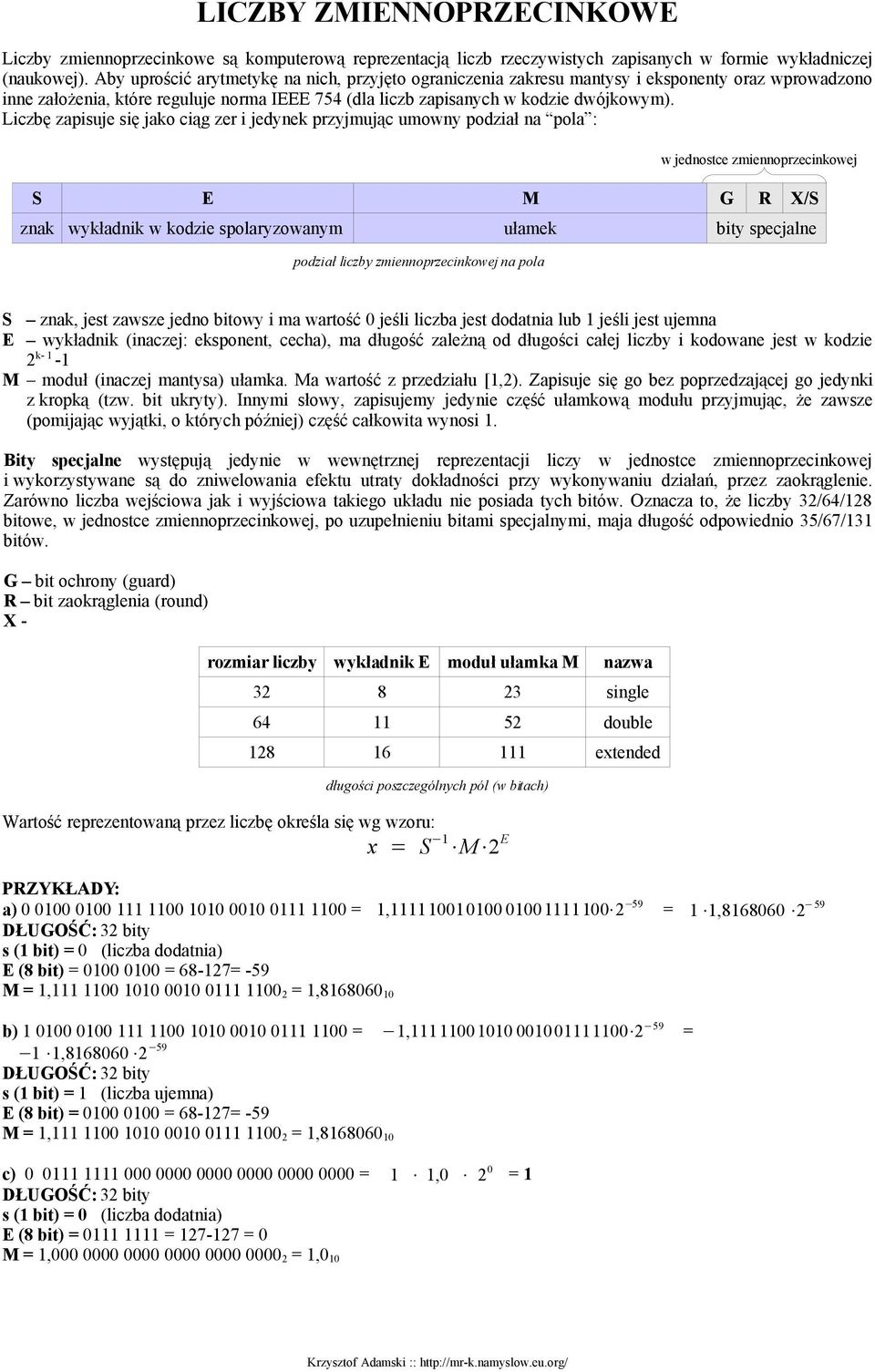 Liczbę zapisuje się jako ciąg zer i jedynek przyjmując umowny podział na pola : w jednostce zmiennoprzecinkowej S E M G R X/S znak wykładnik w kodzie spolaryzowanym ułamek bity specjalne podział