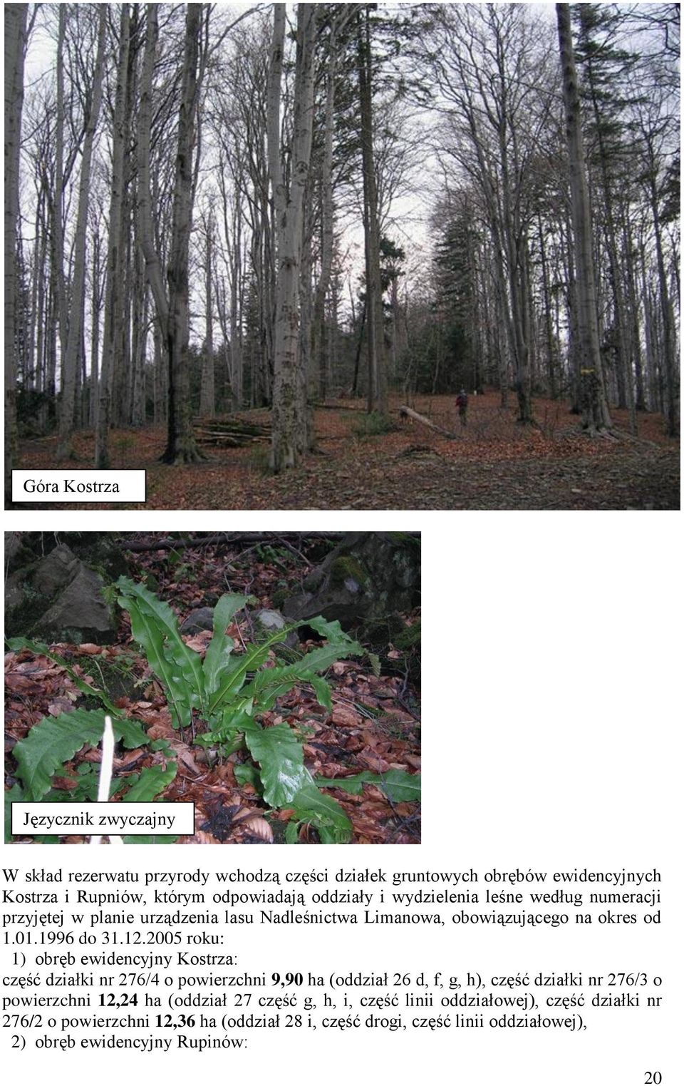 2005 roku: 1) obręb ewidencyjny Kostrza: część działki nr 276/4 o powierzchni 9,90 ha (oddział 26 d, f, g, h), część działki nr 276/3 o powierzchni 12,24 ha