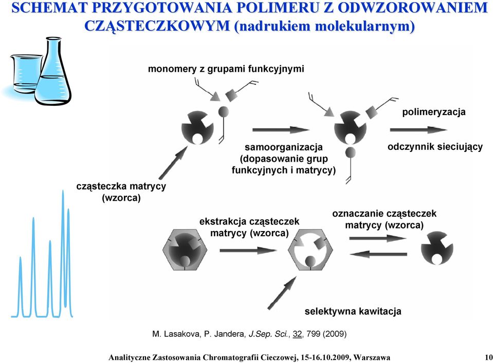 cząsteczek matrycy (wzorca) odczynnik sieciujący oznaczanie cząsteczek matrycy (wzorca) M. Lasakova, P. Jandera, J.