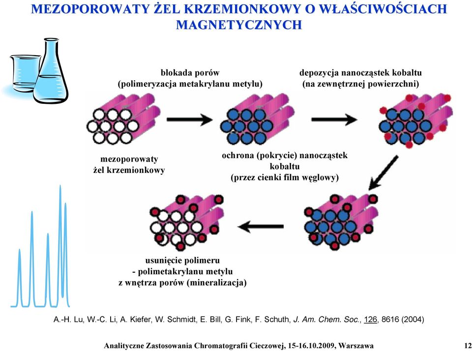 film węglowy) usunięcie polimeru - polimetakrylanu metylu z wnętrza porów (mineralizacja) A.-H. Lu, W.-C. Li, A. Kiefer, W. Schmidt, E.