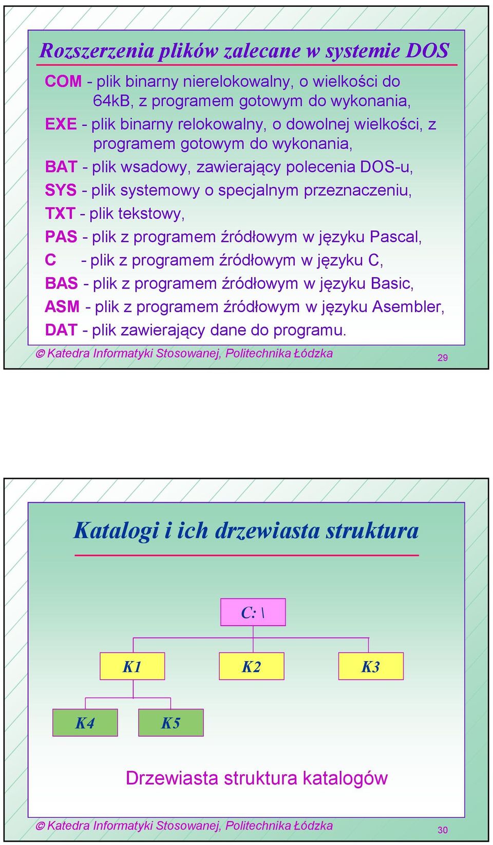 tekstowy, PAS - plik z programem źródłowym w języku Pascal, C - plik z programem źródłowym w języku C, BAS - plik z programem źródłowym w języku Basic, ASM - plik z