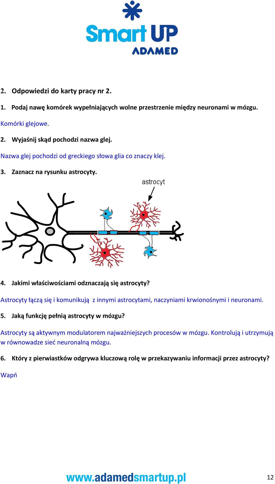 Astrocyty łączą się i komunikują z innymi astrocytami, naczyniami krwionośnymi i neuronami. 5. Jaką funkcję pełnią astrocyty w mózgu?