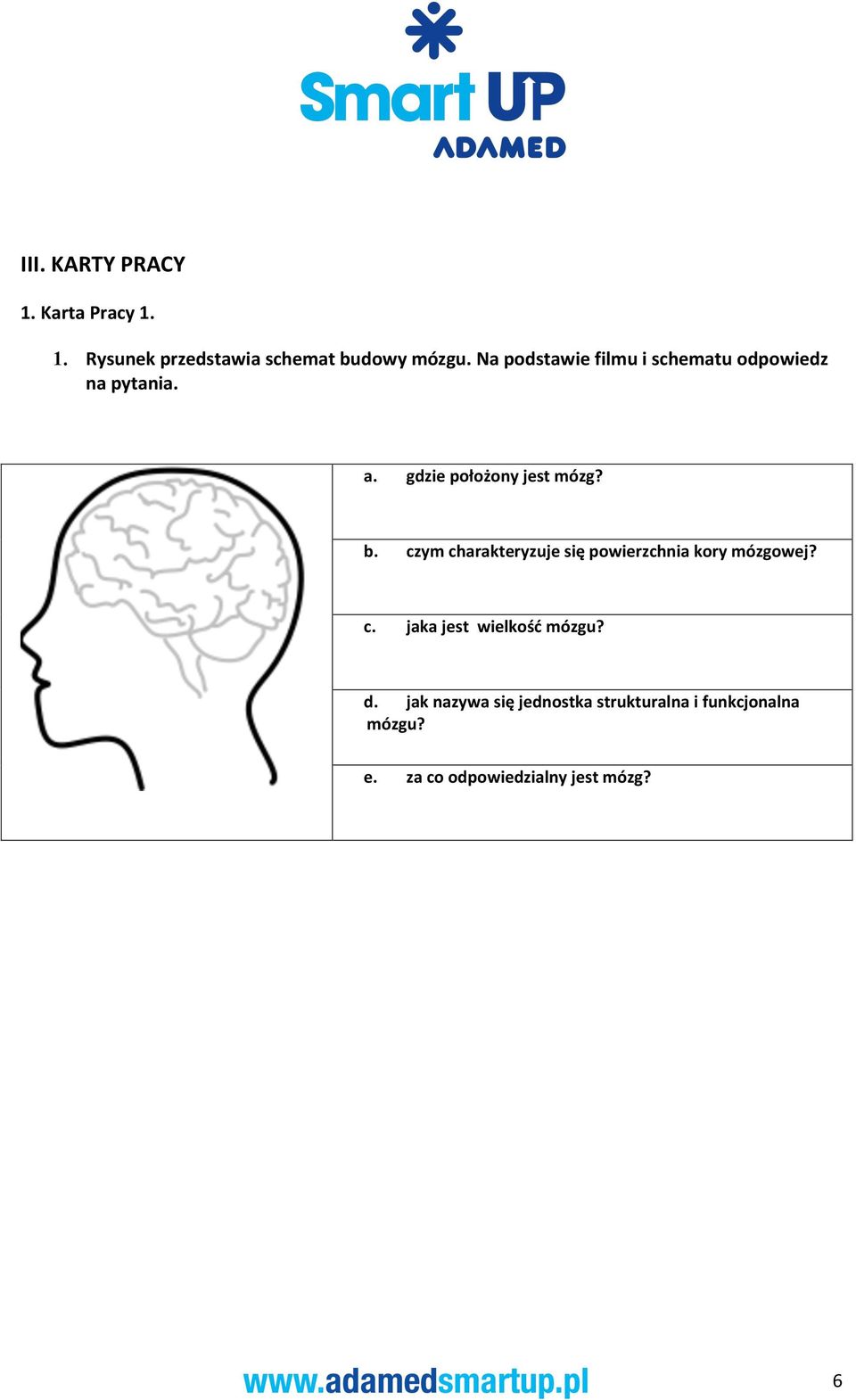 czym charakteryzuje się powierzchnia kory mózgowej? c. jaka jest wielkość mózgu? d.