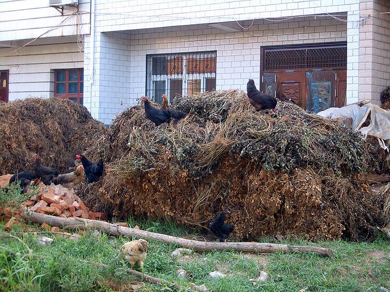 40 ml ton