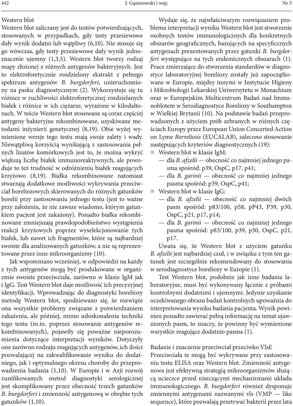 Jest to elektroforetycznie rozdzielony ekstrakt z pełnego spektrum antygenów B. burgdorferi, unieruchomiony na pasku diagnostycznym (2).