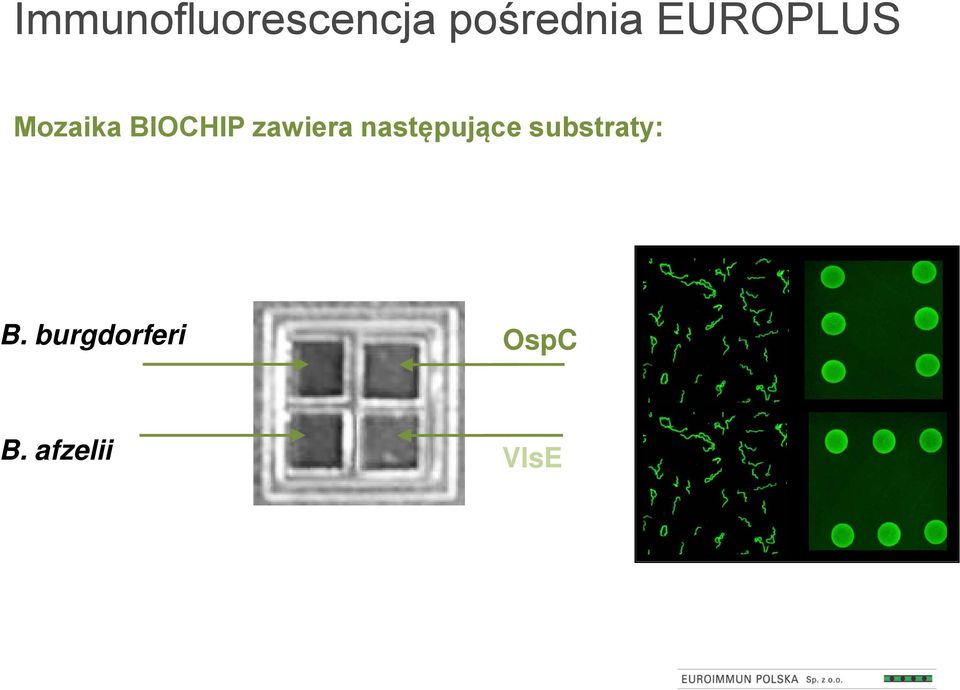 zawiera następujące substraty: