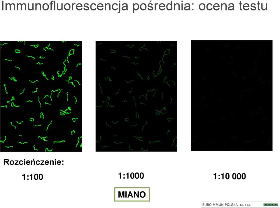 testu Rozcieńczenie: