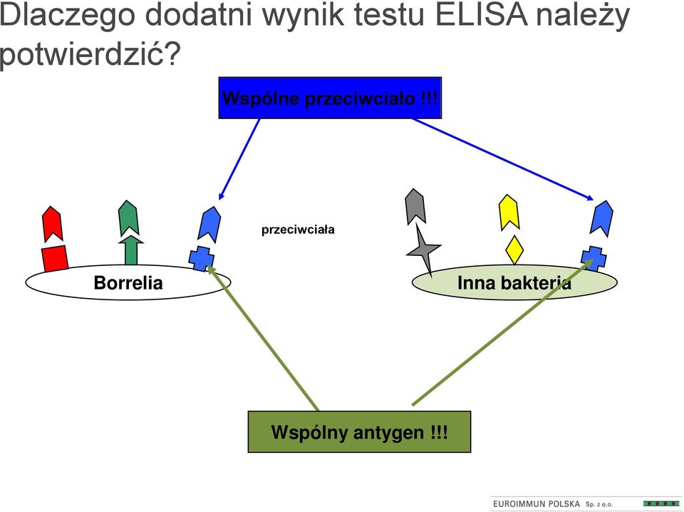 Wspólne przeciwciało!