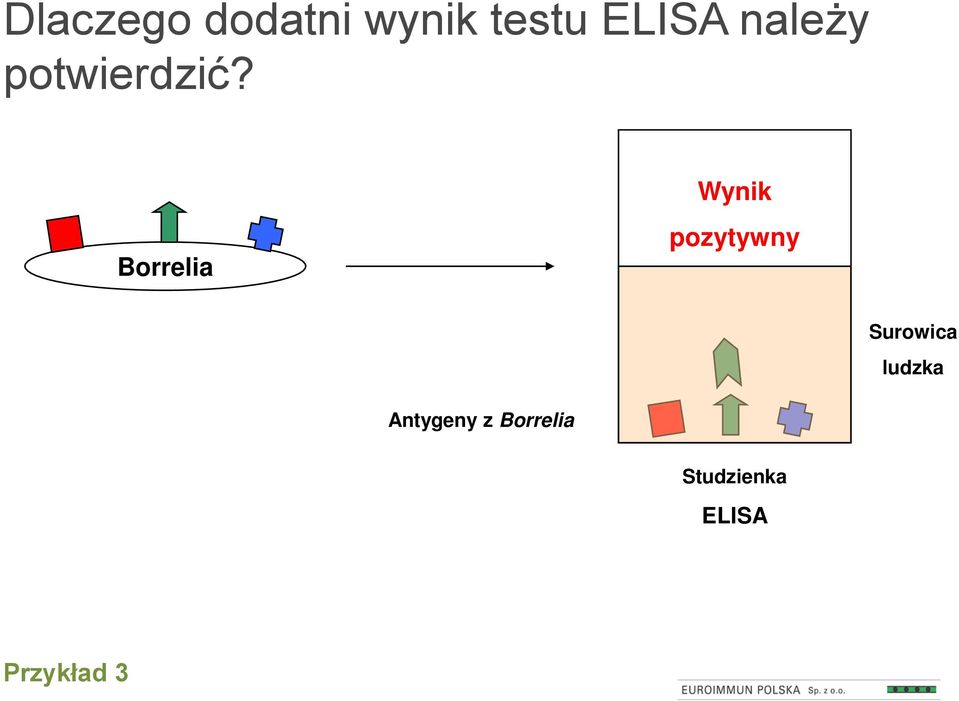 Wynik Borrelia pozytywny Surowica