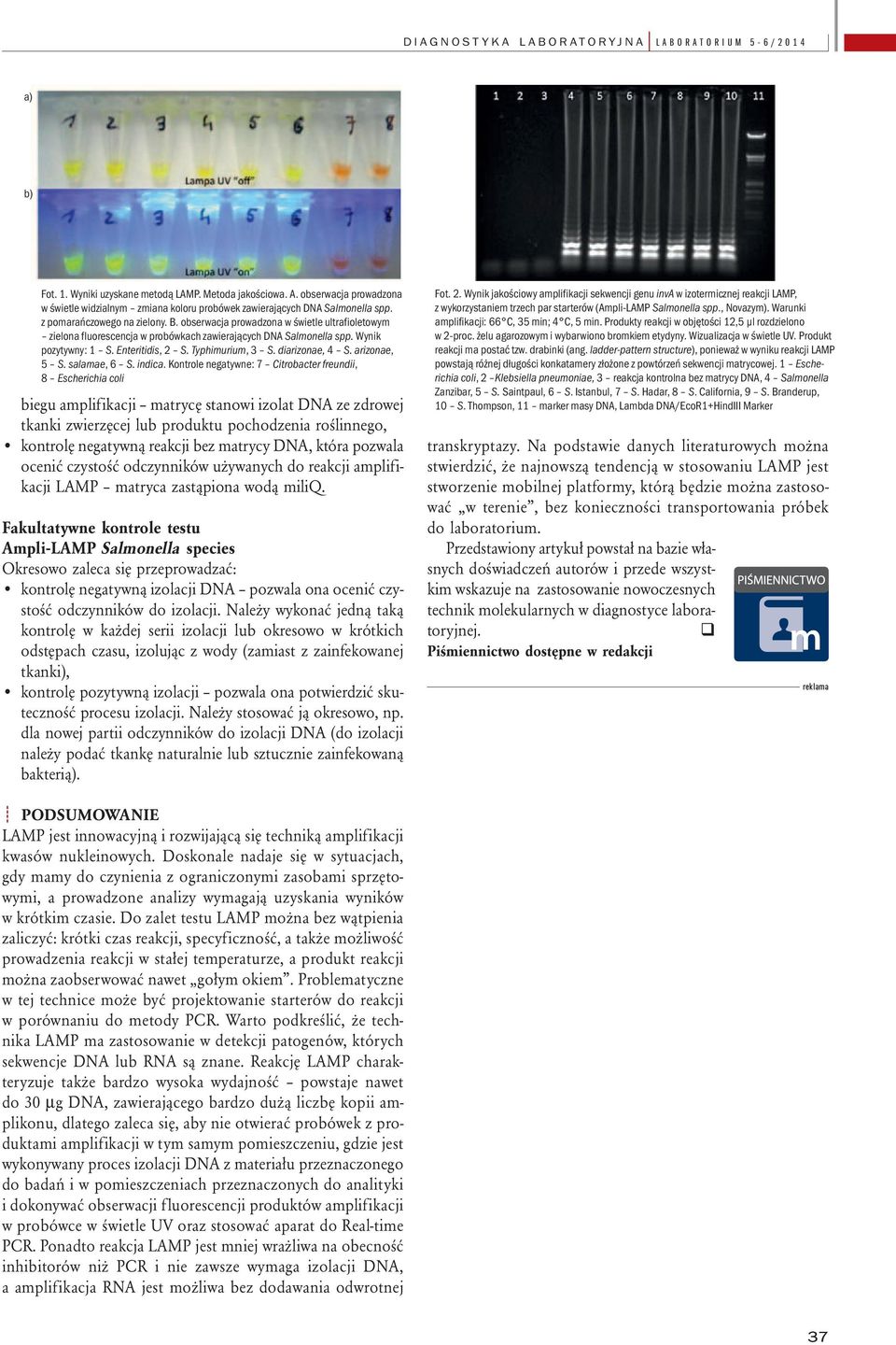obserwacja prowadzona w świetle ultrafioletowym zielona fluorescencja w probówkach zawierających DNA Salmonella spp. Wynik pozytywny: 1 S. Enteritidis, 2 S. Typhimurium, 3 S. diarizonae, 4 S.