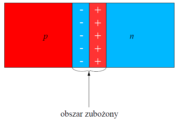 dodatnie nie ekranowane (nie równoważone) przez nieobecne elektrony, a w obszarze p pozostaną analogiczne jony ujemne. Powstaje tzw. obszar (warstwa) zubożony (Rys. 2). a b obszar zubożony Rysunek 2.