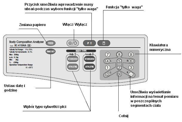 Panel