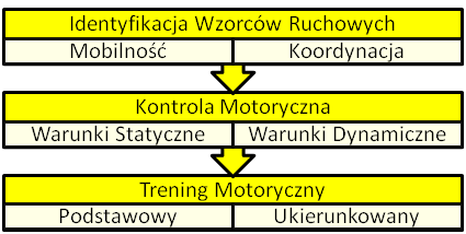 Rys.3 Schematem działań korygujących wg koncepcji FMS który zakłada, że w pierwszej kolejności wdrożyć strategie postępowania korekcyjnego na poprawę mobilności i koordynacji ruchowej, W drugiej