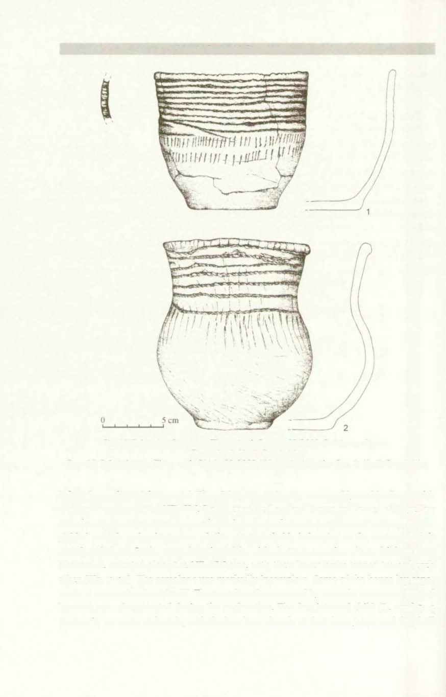 226 Marcin Rudnicki, Piotr Wtodarczak Fig. 11. Pełczyska. Commune Złota, site 6. Feature 32/2002. Furniture of grave. Drawn by A. Kosik-Roczkalska Ryc. 11. Pełczyska, gm. Złota, st. 6. Obiekt 32/2002.