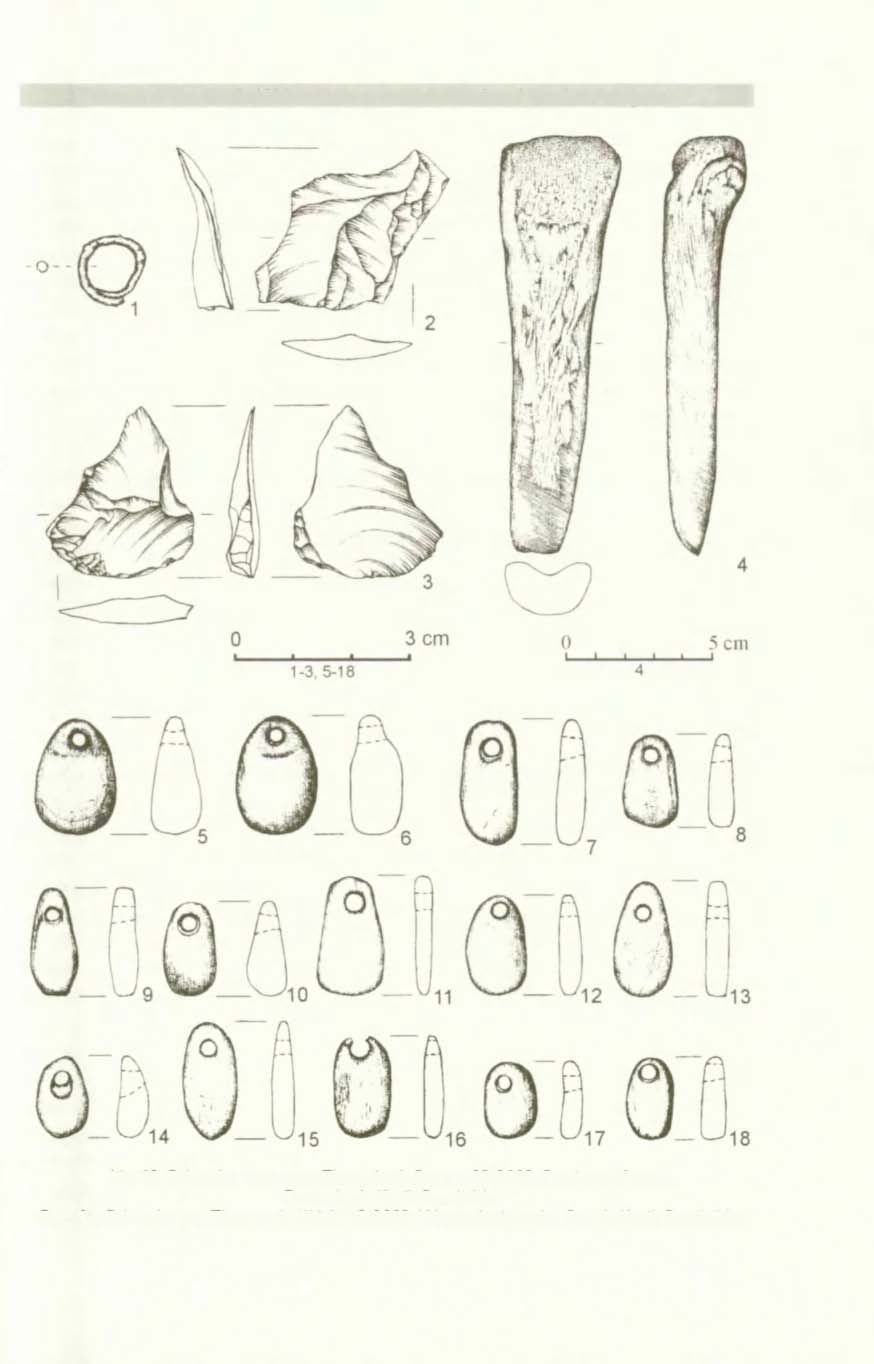 Graves of the Corded Ware Culture at the multicultural Site 6 In Pełczyska 227 Fig. 12. Pełczyska, Commune Złota, site 6. Feature 32/2002.