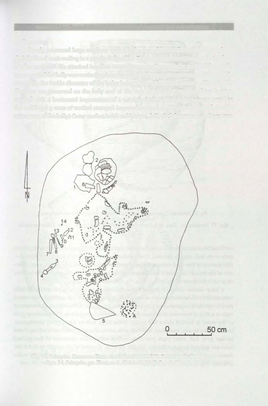 Graves of the Corded Ware Culture at the multicultural Site 6 in Pełczyska 231 Inventory: l. Poorly preserved large amphora with a belly shaped into a flattened sphere.