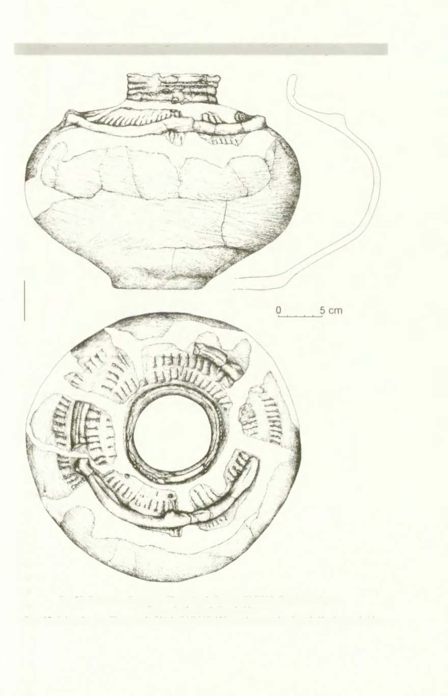 Graves of the Corded Ware Culture at the multicultural Site 6 In Pełczyska 233 Fig. 18. Pełczyska, Commune Złota, site 6. Feature 50/2002.
