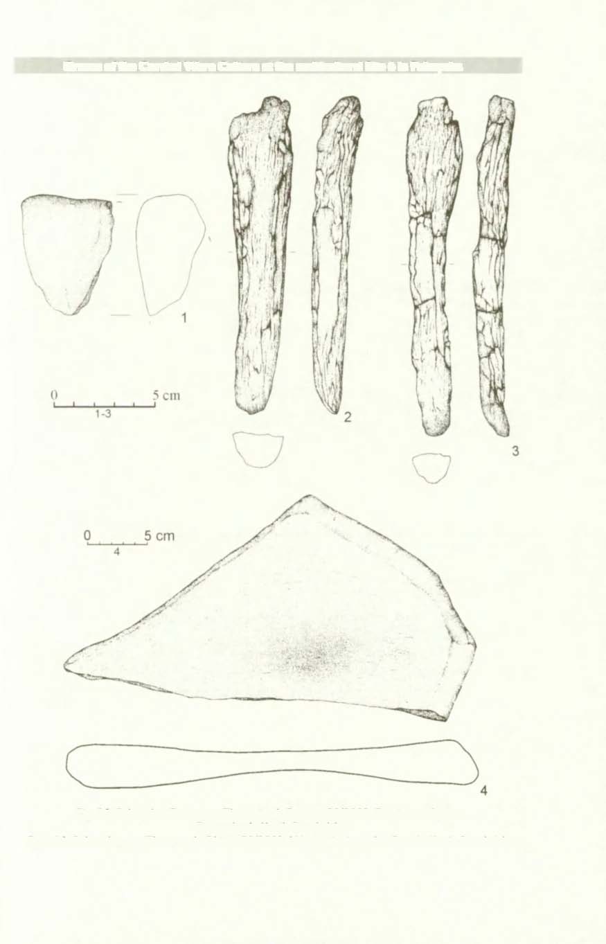 Graves of the Corded Ware Culture at the multicultural Site 6 in Pełczyska 237 Flg. 21. Pełczyska, Commune Złota, site 6. Feature 50/2002.
