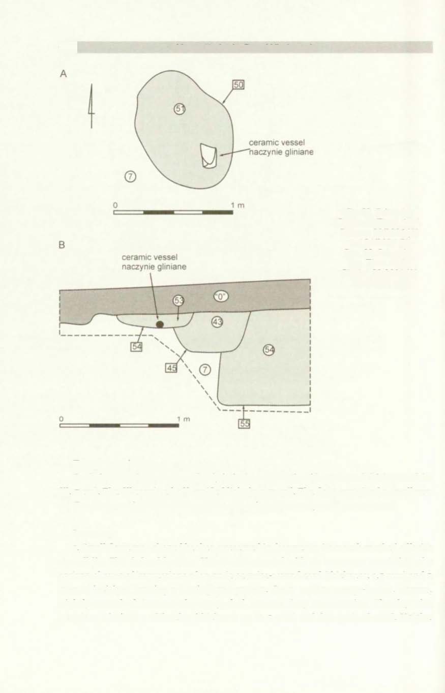238 Marcin Rudnicki. Piotr Włodarczak Fig. 22. Pełczyska, Commune Złota, site 6.