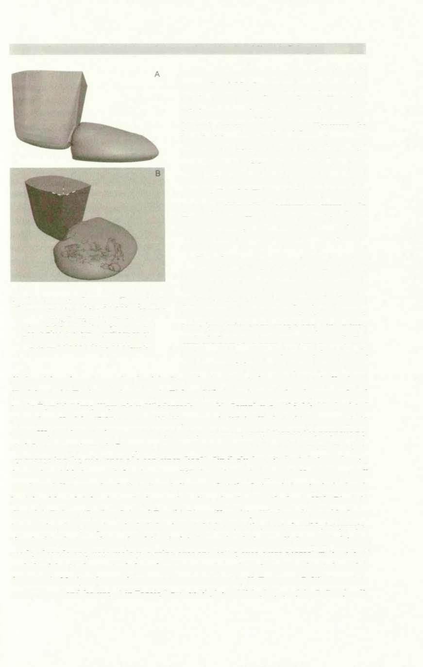 Graves of the Corded Ware Culture at the multicultural Site 6 in Pełczyska 241 Fig. 24. Pełczyska, Commune Złota, site 6. 3D reconstruction of the 21/2004 feature's shape. Done by M. Nowak Ryc. 24. Pełczyska, gm.