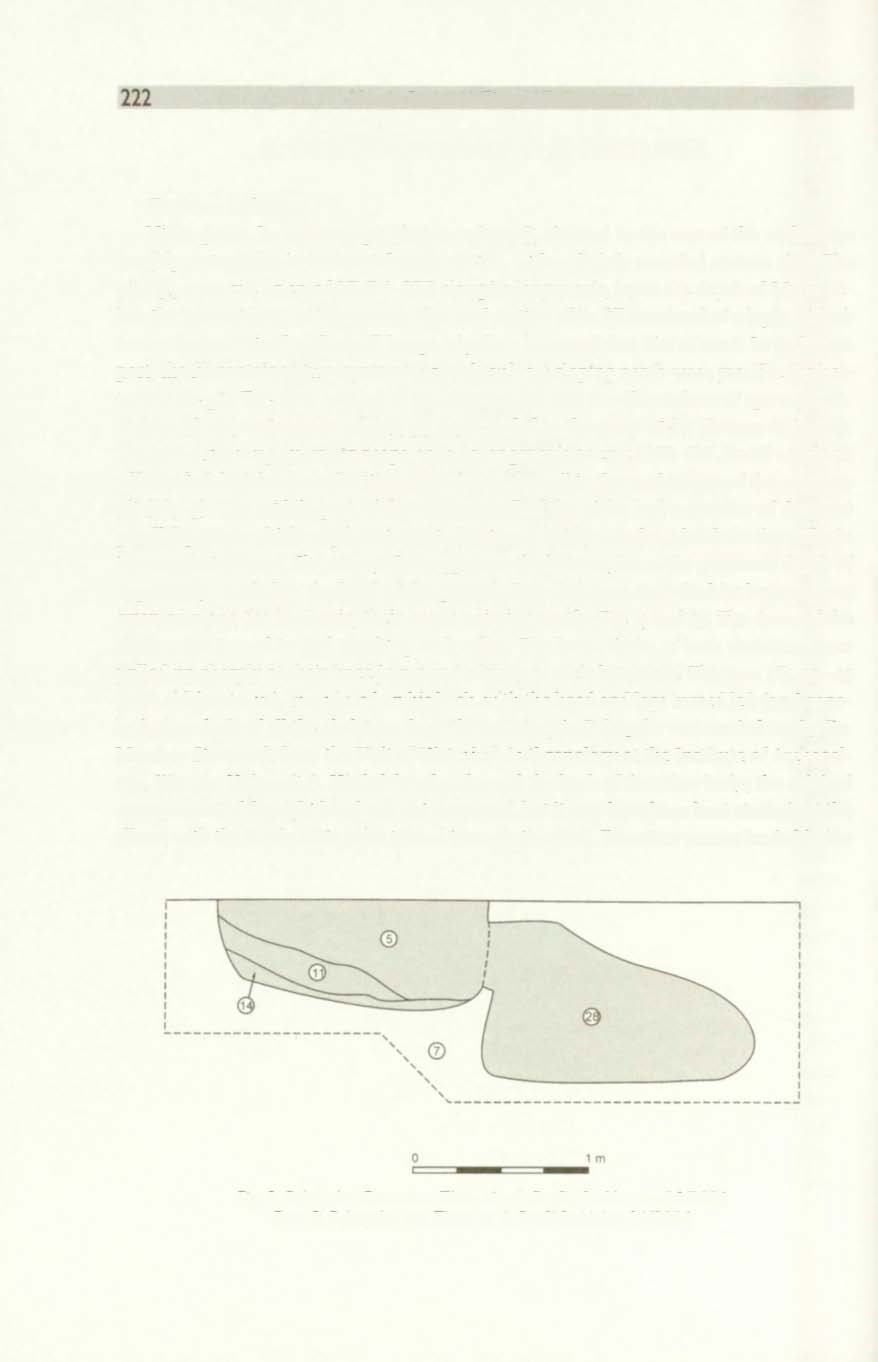 Marcin Rudnicki. Piotr Włodarczak 2. DESCRIPTION OF THE FEATURES Feature 21/2004 Niche grave.