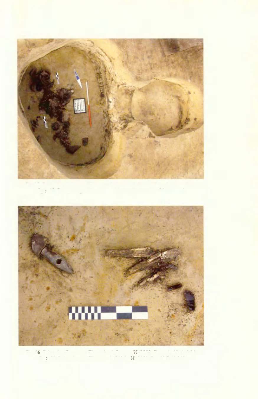 Fig. 15. Pełczyska, Commune Złota, site 6. Feature 50/2002. Photo by M. Rudnicki Ryc. 15. Pełczyska, gm. Złota, st. 6. Obiekt 50/2002. Fot. M. Rudnicki Fig.