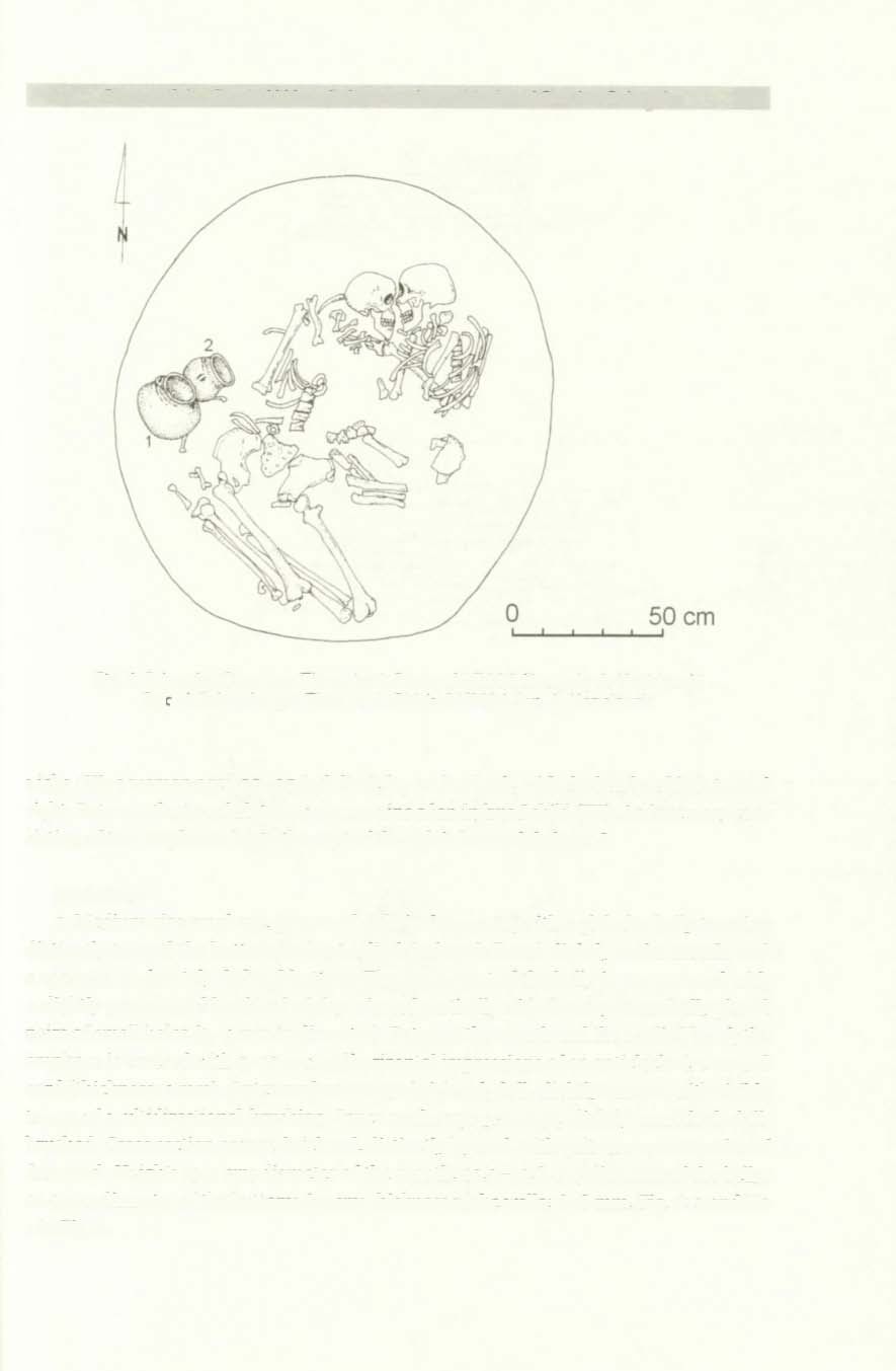 Graves of the Corded Ware Culture at the multicultural Site 6 in Pełczyska 223 Fig. 4 Pełczyska, Commune Złota, site 6. Feature 21/2004. Drawn by A. Kozieiewski Ryc. 4. Pełczyska, gm. Złota, st. 6. Obiekt 21/2004.
