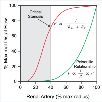 Zwężenie tętnicy nerkowej teoretyczny przepływ przez