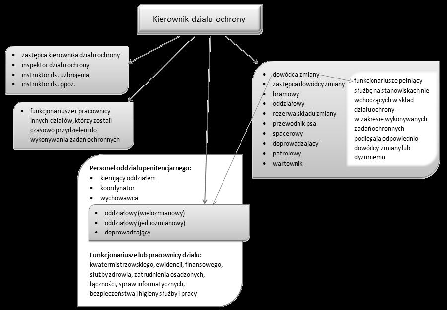 Poniższy schemat przedstawia strukturę działu ochrony w jednostkach organizacyjnych gdzie funkcjonują oddziały penitencjarne: Zapamiętaj!