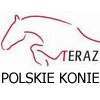 WYNIKI - I PÓŁFINAŁ (TRÓJKĄT) - KONIE 4 LETNIE HODOWLI POLSKIEJ Konkurs m-ce Nr Koń [hodowca\właściciel] Zawodnik Klub typ kondycja ruch Razem Nagroda płeć\rasa\maść\ojciec\matka/ojciec matki\data ur.