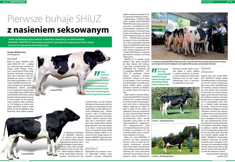 krajowego, wśród buhajów urodzonych i wycenionych w Polsce.