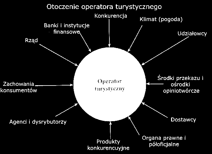 Organizacja jako