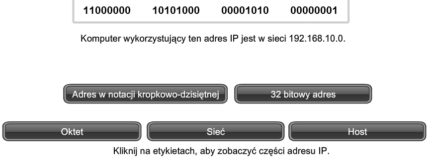 Struktura adresu IP Określ rolę 8 bitowej liczby