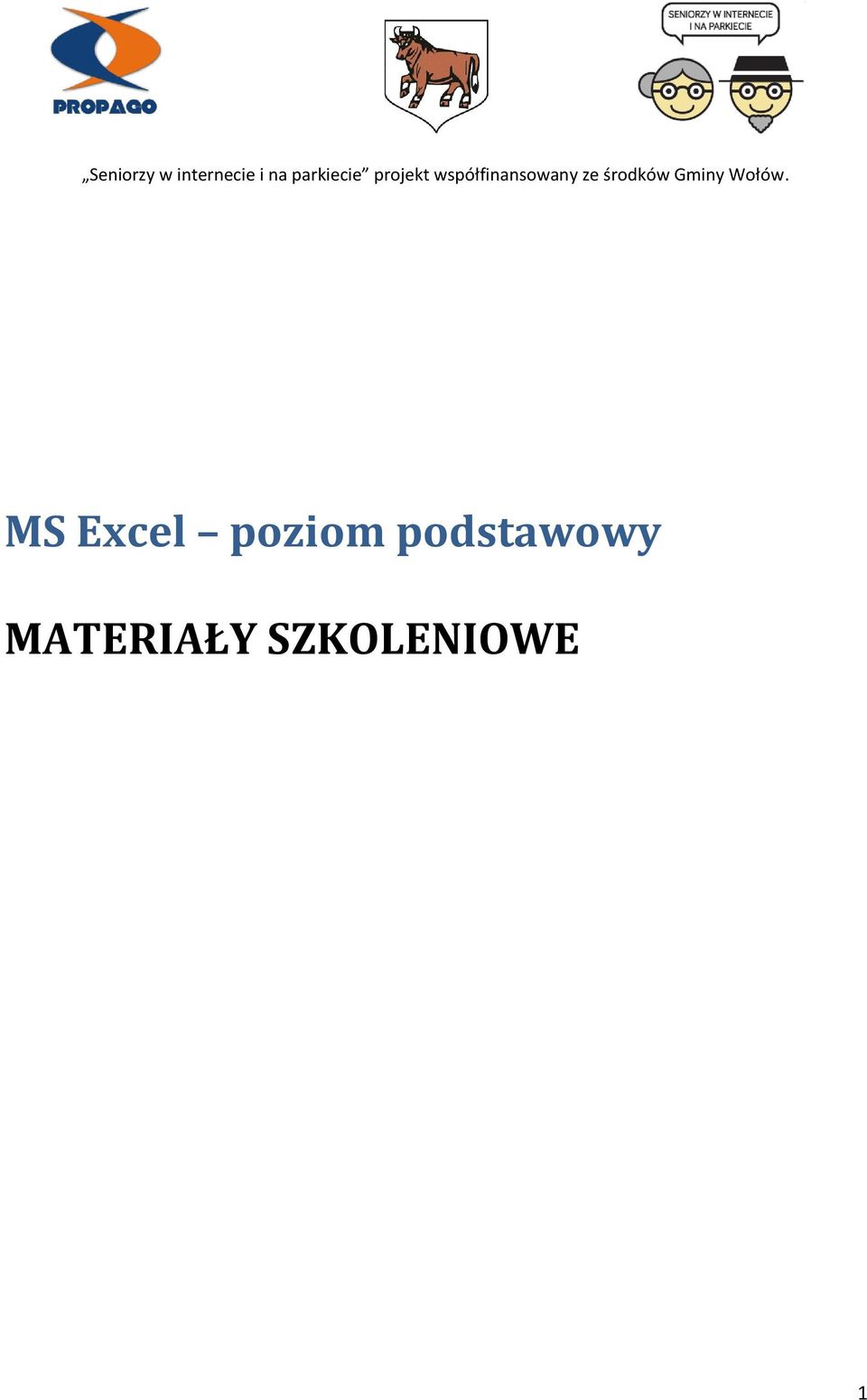 Ms Excel Poziom Podstawowy Materialy Szkoleniowe Pdf Free Download