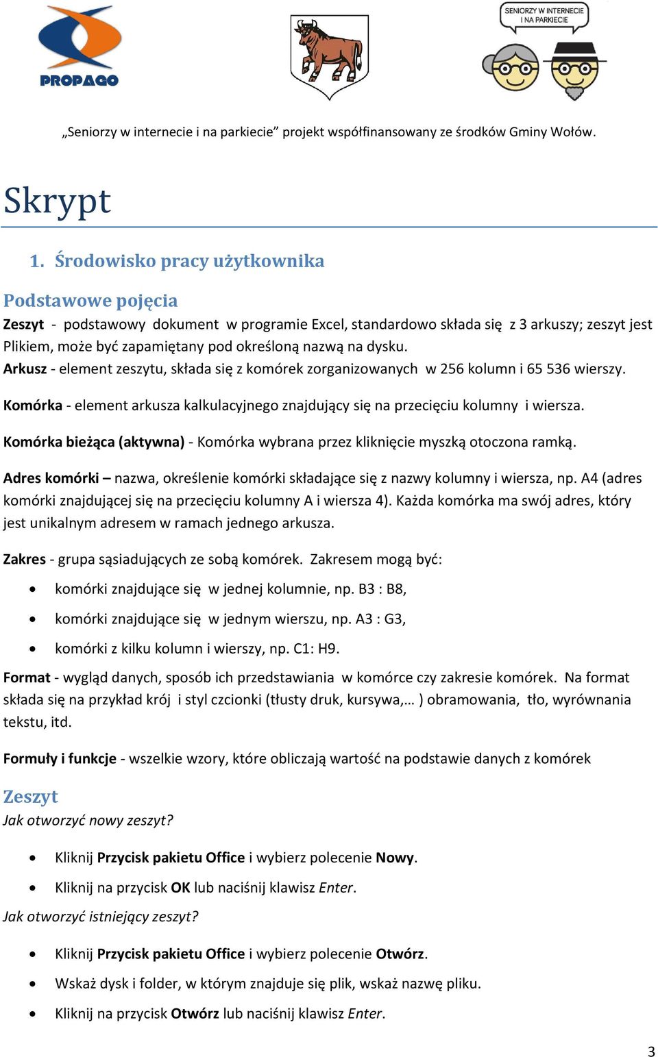 dysku. Arkusz - element zeszytu, składa się z komórek zorganizowanych w 256 kolumn i 65 536 wierszy. Komórka - element arkusza kalkulacyjnego znajdujący się na przecięciu kolumny i wiersza.